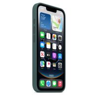 Чехол Silicone Case для iPhone 16e, "Lake Green"