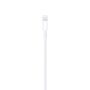 Кабель Apple USB-Lightning 1м, (MUQW3), Белый