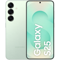Samsung Galaxy S25, 12 ГБ/512 ГБ, «Mint»