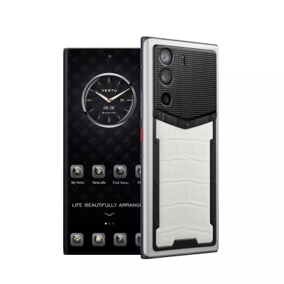 VERTU METAVERTU 5G Web3, 12Гб/512Гб, Кожа аллигатора, Белый