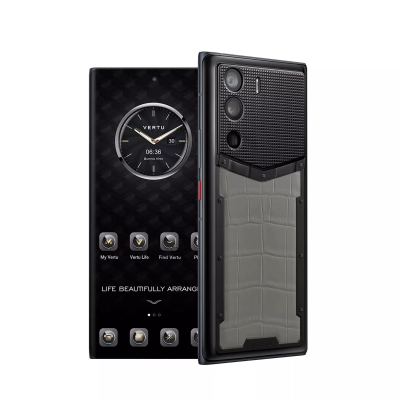 VERTU METAVERTU 5G Web3, 12Гб/512Гб, Кожа аллигатора, Серый