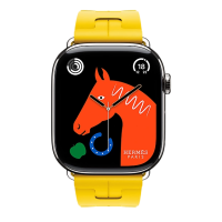 Apple Watch Hermes 11, 46mm, Silver, Kilim Single Tour Deployment Buckle, Sun