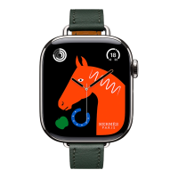 Apple Watch Hermes 11, 42mm, Silver, Single Tour, Vert Mangrove