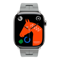 Apple Watch Hermes 11, 42mm, Silver, Kilim Single Tour Deployment Buckle, Gris
