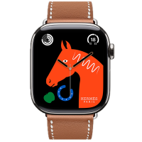 Apple Watch Hermes 11, 42mm, Silver, Single Tour Strap, Swift calfskin, Gold