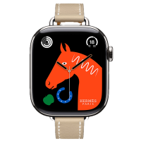 Apple Watch Hermes 11, 42mm, Silver, Single Tour Strap, Swift calfskin, Trench