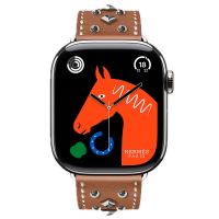Apple Watch Hermes 11, 46mm, Silver, Single Tour, Clou Medor Rock, Gold