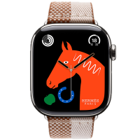 Apple Watch Hermes 11, 42mm, Silver, Toile H Double Jeu, Gold/Écru
