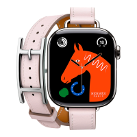 Apple Watch Hermes 11, 42mm, Silver, Hapi Double Tour, Mauve Pale 